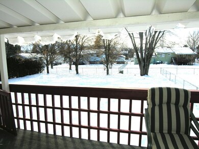 back yard 2