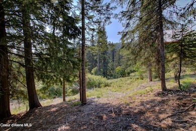 Blk4 Lot4 Ullr Dr, Sandpoint, ID 83864 - photo 7
