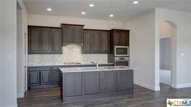 329 Lacey Oak Loop, San Marcos, TX 78666 - photo 7