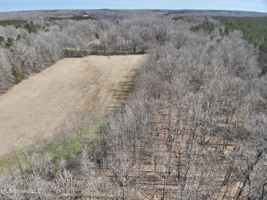 DJI_20250303113209_0011_V