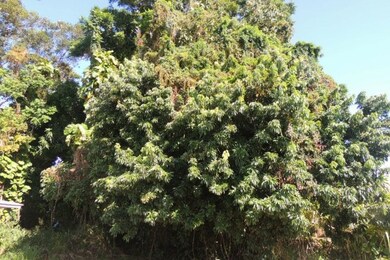 2035 Kinoole St, Hilo, HI 96720 - photo 4