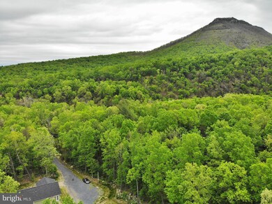 2950 Moreland Gap Rd, New Market, VA 22844 - photo 2