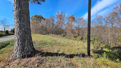 5553 Kentucky 878, Olaton, KY 42361 - photo 5