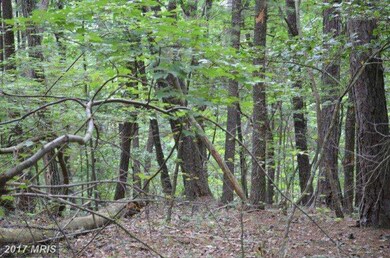 0 Lee Rd unit 1002574514, Basye, VA 22810 - photo 5