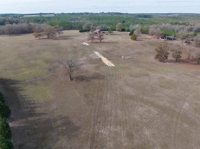 297 Ga Highway 240, Buena Vista, GA 31803 - photo 3