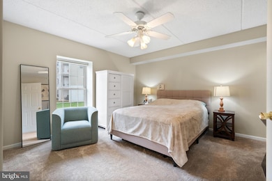 307 Brandon Rd, Norristown, PA 19403 - photo 6