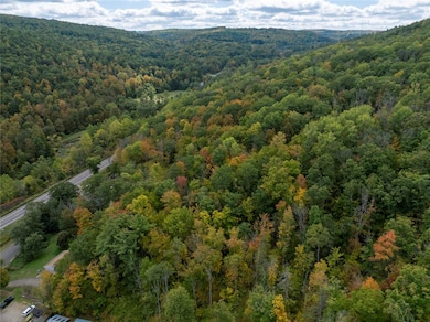 0 Caton Rd unit R1640864, Corning, NY 14830 - photo 2