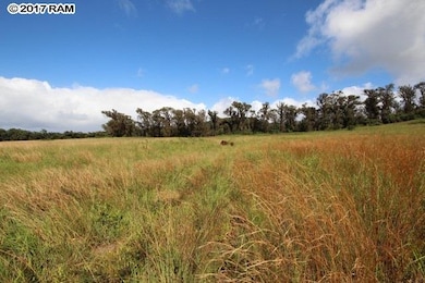 1 Paholei Rd, Makawao, HI 96768 - photo 5