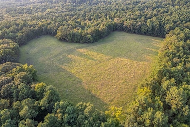 3168 Fm 3056, Hawkins, TX 75765 - photo 7