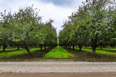 0 Deer Creek Ave, Earlimart, CA 93219 - photo 2