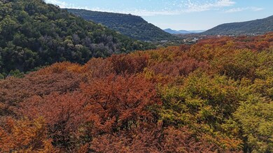 6608 N Hwy 83n, Leakey, TX 78873 - photo 7