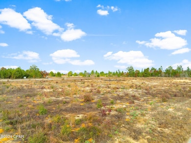 1 Challenger Blvd, Chipley, FL 32428 - photo 4