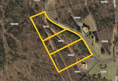 Starry Nights Dr, Fancy Gap, VA 24328 - photo 3