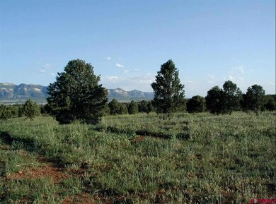 0 Road 22 7 unit 724943, Cortez, CO 81321 - photo 2
