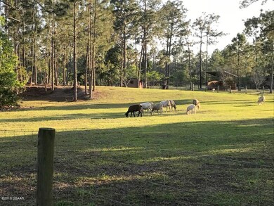 761 Oak Rim Ln, New Smyrna Beach, FL 32168 - photo 3