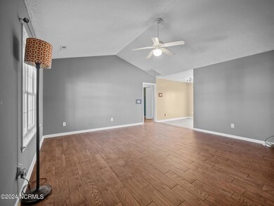 23-web-or-mls-P1100859