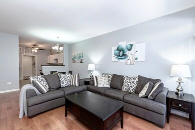 24104 Pear Tree Cir unit 171805, Plainfield, IL 60585 - photo 4