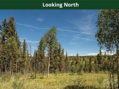 520 Rawhide Dr, Como, CO 80432 - photo 6