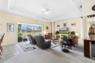 Living Room w/ Lighted Tray Ceiling, Built in Ente
