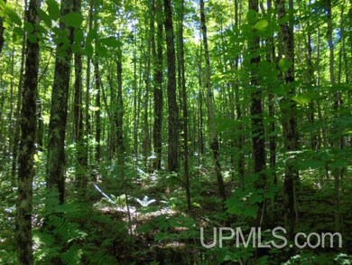 TBD E Shore Rd, Bergland, MI 49910 - photo 7