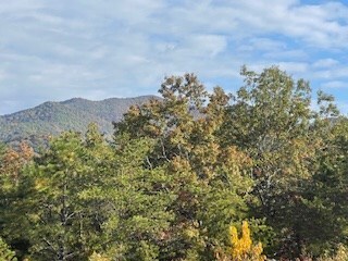 Lot 2 Jay Bird Trail, Franklin, NC 28734 - photo 4