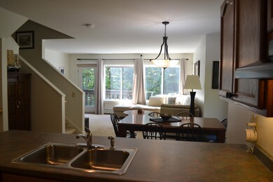 206 Stoney Path Rd unit 605, Jay, VT 05859 - photo 4