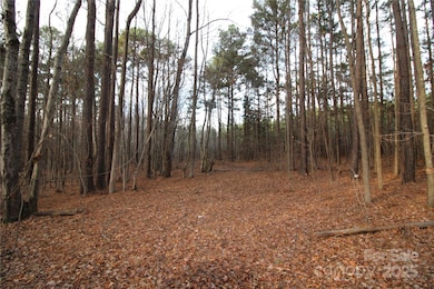 14.5+/-AC Pioneer Rd, York, SC 29745 - photo 2