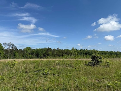 1331 Coal Bluff Rd, Lena, MS 39094 - photo 5