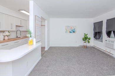 4194 Packard St unit 1, Ann Arbor, MI 48108 - photo 7