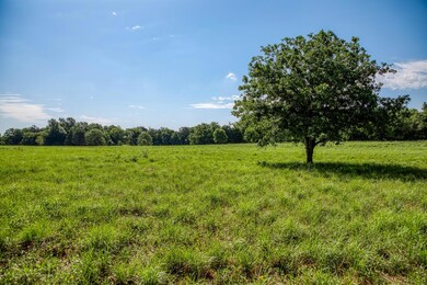 View of nature featuring rural landscape