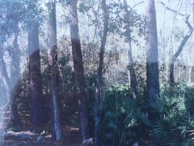 0 Jerry Ln unit 752081, Jacksonville, FL 32218 - photo 5