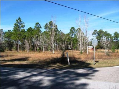 Facing property from the corner of Crow Rd. and Mier Henry Rd.