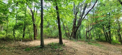 ac Laurel-Point Isabel Rd, Moscow, OH 45153 - photo 5