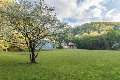 Open Field