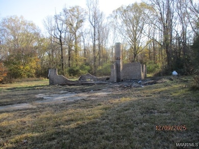 1366 County Road 47, Tuskegee, AL 36083 - photo 5