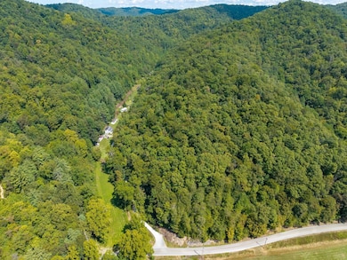 4000 State Highway 1482, Oneida, KY 40972 - photo 3