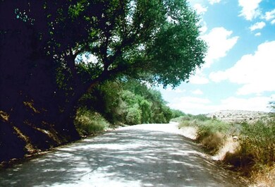 unlisted-address, Cornville, AZ 86325 - photo 4