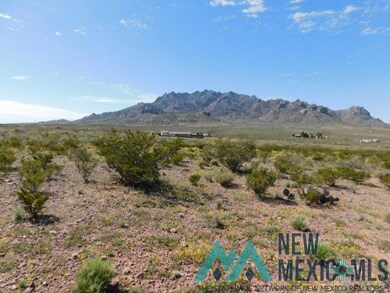0 San Mateo Rd unit 20231657, Deming, NM 88030 - photo 3