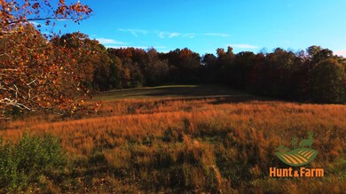 000 Garden of the Gods Rd, Herod, IL 62947 - photo 5