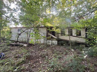 245 Woolf Pass Ln, Sparta, TN 38583 - photo 5