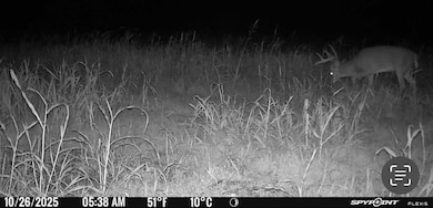 370 Tavern Creek Rd, Iberia, MO 65486 - photo 5