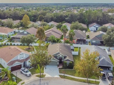 6920 Bluff Meadow Ct, Wesley Chapel, FL 33545 - photo 3