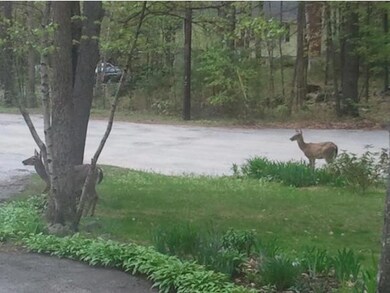 50 Squirrel Dr, Auburn, NH 03032 - photo 4