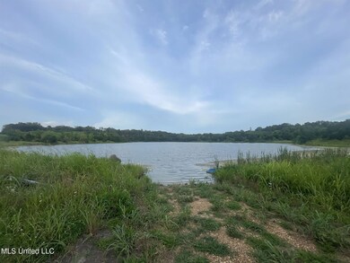 0 Lewis Ln unit 24219131, Starkville, MS 39759 - photo 2