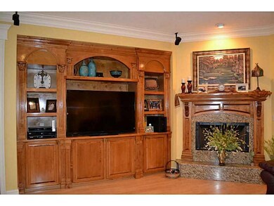Living Room. Custom built ins and fabulous marble 