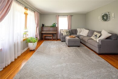 Living room with beautiful natural lighting.