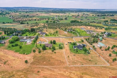 25548 Road North 6 Loop, Cortez, CO 81321 - photo 4