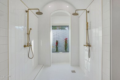 Primary Shower