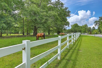 ZYN_1451_2_3_4_5_6_7