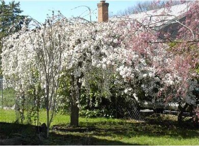 12 Carol St, Ludlow, MA 01056 - photo 5